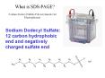 What is SDS-PAGE? PowerPoint PPT Presentation