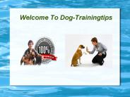 Tips For Training a Puppy