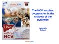 The HCV vaccine: cooperation in the shadow of the pyramids PowerPoint PPT Presentation