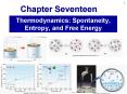 Thermodynamics: Spontaneity, Entropy, and Free Energy PowerPoint PPT Presentation