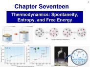 Thermodynamics: Spontaneity, Entropy, and Free Energy