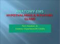 ANATOMY-ems hypothalamus PowerPoint PPT Presentation