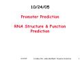 10/24/05  Promoter Prediction RNA Structure PowerPoint PPT Presentation