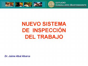 NUEVO SISTEMA DE INSPECCI