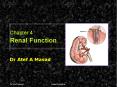 Chapter 4 Renal Function PowerPoint PPT Presentation