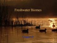 Freshwater Biomes