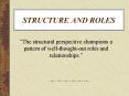 STRUCTURE AND ROLES PowerPoint PPT Presentation