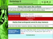 Development of TCM Internal Medicine