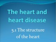 The heart and heart disease