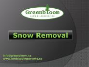 Landscaping Toronto - Snow Removal