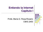 Entiendo la Internet Cap