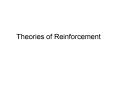 Theories of Reinforcement PowerPoint PPT Presentation