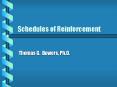 Schedules of Reinforcement PowerPoint PPT Presentation