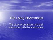 The Living Environment