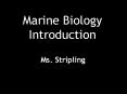 Marine Biology Introduction PowerPoint PPT Presentation