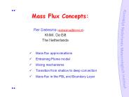 Mass Flux Concepts: