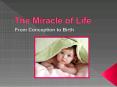 The Miracle of Life PowerPoint PPT Presentation