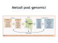 Metodi post-genomici PowerPoint PPT Presentation