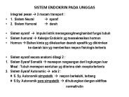 SISTEM ENDOKRIN PADA UNGGAS