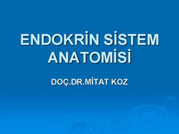 presentation player overlay