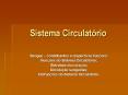 Sistema Circulat PowerPoint PPT Presentation