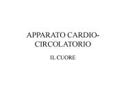 APPARATO CARDIO-CIRCOLATORIO