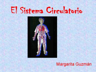 El Sistema Circulatorio