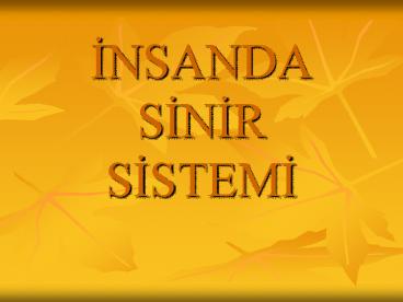 INSANDA SINIR SISTEMI