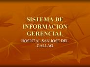 SISTEMA DE INFORMACION GERENCIAL