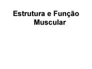 Estrutura%20e%20Fun