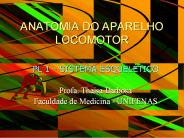ANATOMIA DO APARELHO LOCOMOTOR