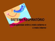 SISTEMA RESPIRAT