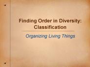 Finding Order in Diversity: Classification