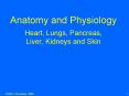 Anatomy and Physiology PowerPoint PPT Presentation