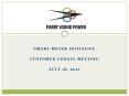 Smart Meter Initiative PowerPoint PPT Presentation