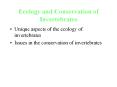 Ecology and Conservation of Invertebrates PowerPoint PPT Presentation