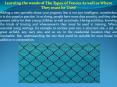 Learning the needs of The Types of Fences As well as Where They must be Used PowerPoint PPT Presentation