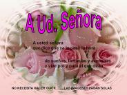 Usted Se
