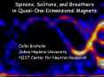 Spinons, Solitons, and Breathers in Quasi-One-Dimensional Magnets PowerPoint PPT Presentation