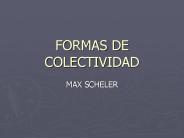 FORMAS DE COLECTIVIDAD