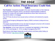 Call for Action: Flood Insurance Could Sink Sales