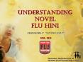 Understanding Novel Flu H1N1 PowerPoint PPT Presentation