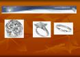 Buy Loose Diamonds Wholesale