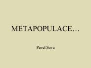 METAPOPULACE