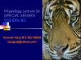 Physiology Lecture 39 SPECIAL SENSES: VISION 02 PowerPoint PPT Presentation