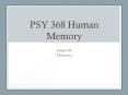 PSY 368 Human Memory PowerPoint PPT Presentation