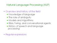 Natural Language Processing (NLP)