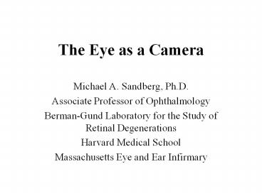 The Eye as a Camera