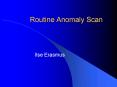 Routine Anomaly Scan PowerPoint PPT Presentation