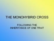 THE MONOHYBRID CROSS